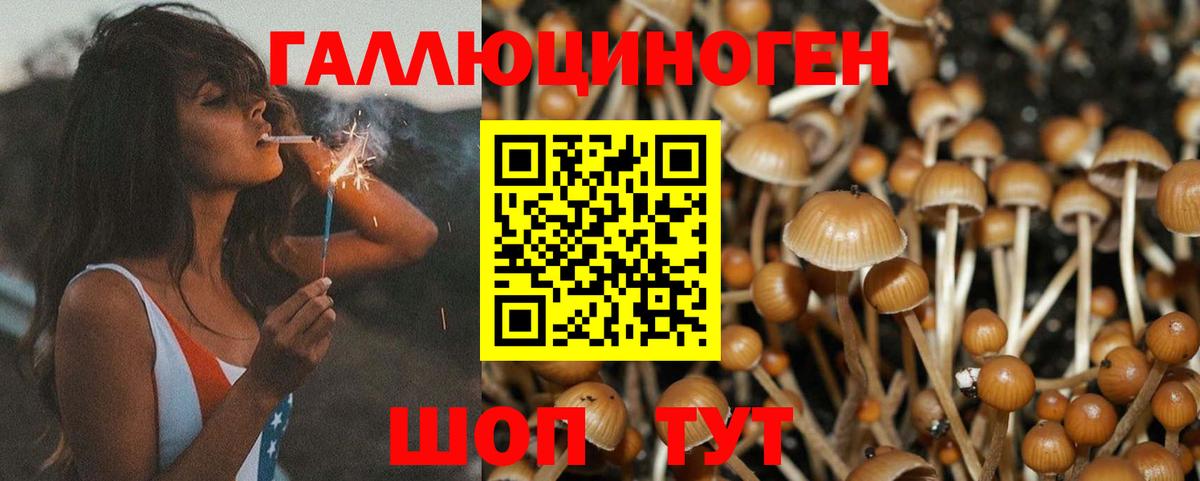 Псилоцибиновые грибы ЛСД Зеленогорск