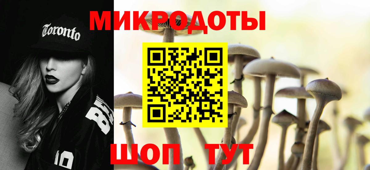 Зеленогорск  Псилоцибиновые грибы Cubensis  Вход с VPN 