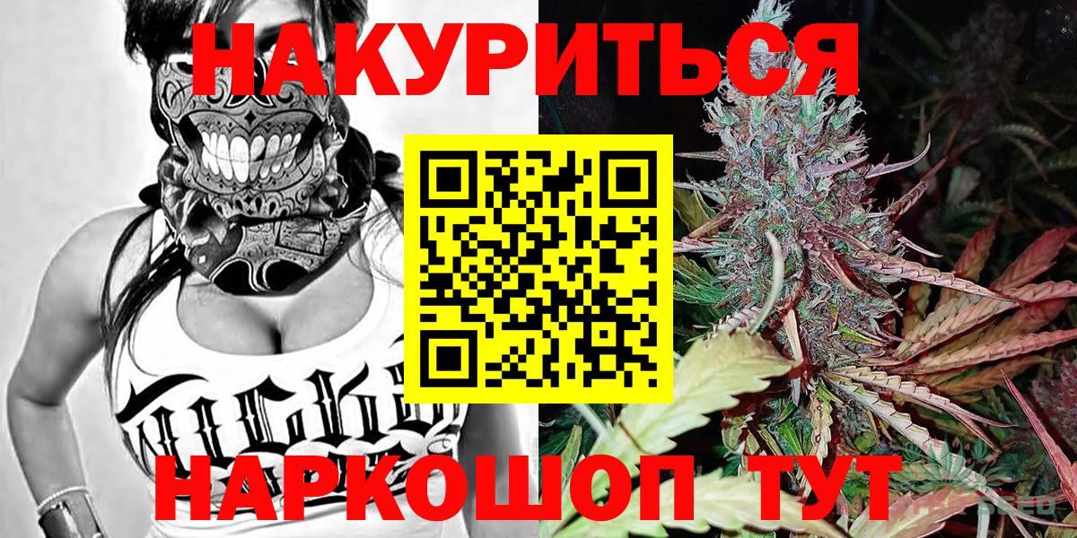 Бошки Шишки SATIVA & INDICA  Бошки марихуана семена  Зеленогорск  Марихуана SATIVA & INDICA  Каннабис Bruce Banner  Вход с VPN 